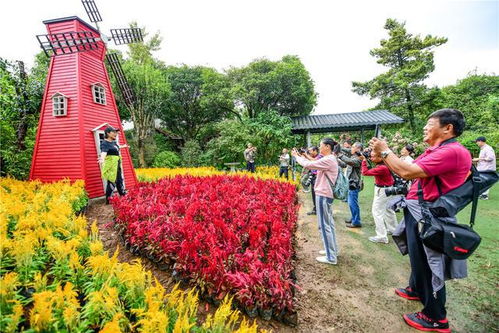 桂林 世外陶园 花团锦簇醉游人