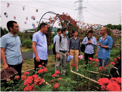 湖州市花木产业联盟专家赴德清县五四村开展结对帮扶服务